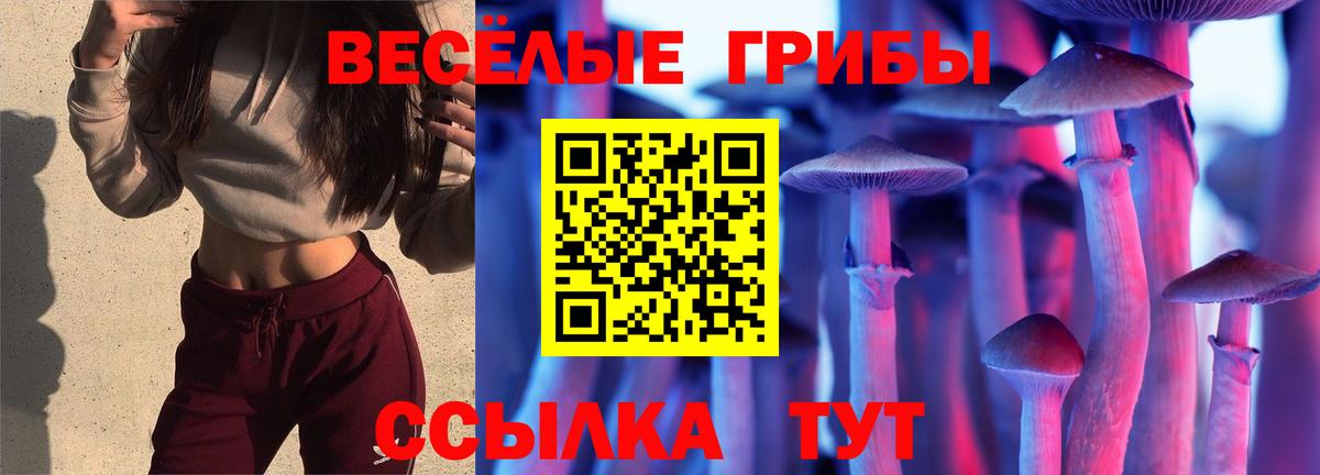Псилоцибиновые грибы Psilocybine cubensis  Вход с VPN  Фурманов  Псилоцибиновые грибы Psilocybe 